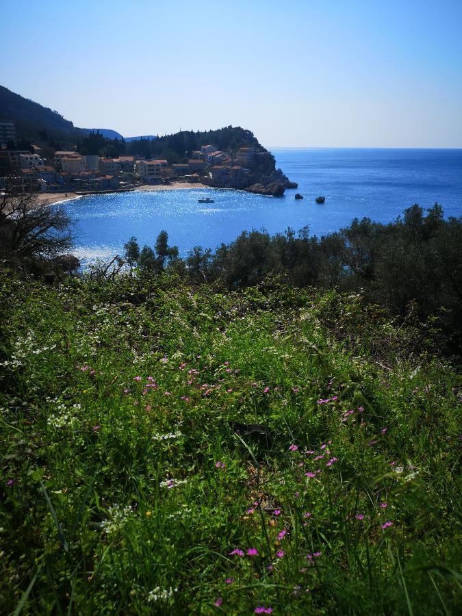 Langust - Free Parking Apartment Sveti Stefan Bagian luar foto